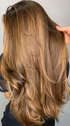 35+ Gorgeous & Stylish Fall Hair Color Ideas Trending in 2023 4 Golden Hair Color, Golden Blonde Hair, Honey Blonde Hair, Brown Hair Balayage, Dark Blonde Hair, Honey Hair