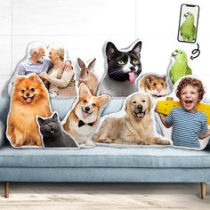 a boy is sitting on a couch with many dogs and cats in front of him