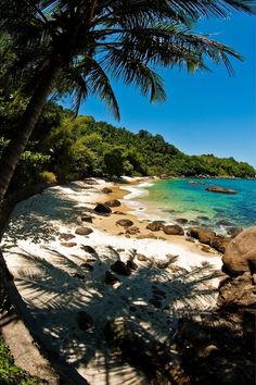 the beach is lined with rocks and palm trees