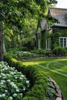 a lush green yard with white flowers and bushes in front of a large brick house