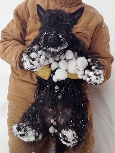 a person holding a dog in the snow with it's paws covered in snow