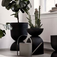 three black vases with plants in them sitting on the floor next to a window