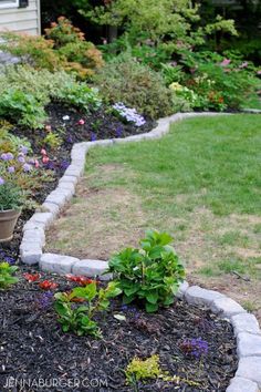 a garden with various flowers and plants in it