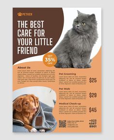 a pet care flyer with a cat and dog