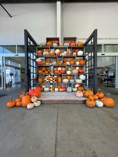 pumpkins and gourds are arranged on the floor in front of a display case