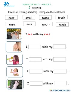 worksheet with pictures and words to help students learn how to read the sentence