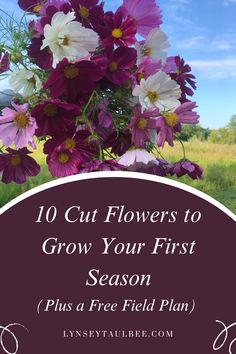 flowers in a vase with the words 10 cut flowers to grow your first season plus a free field plan