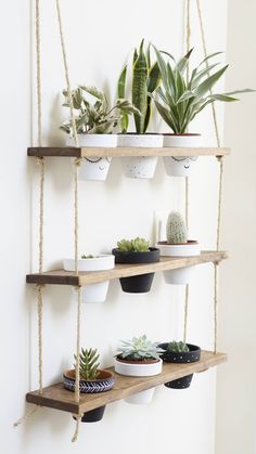 three hanging shelves with plants and potted succulents on them in front of a white wall