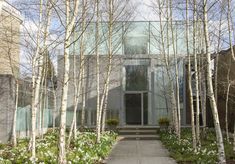 the entrance to a modern home surrounded by trees