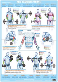 the arm exercises front and back are shown in this diagram, which shows how to perform