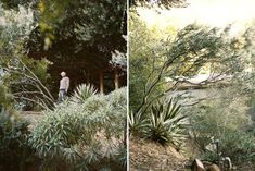 two pictures of a man standing in the woods next to trees and bushes, one is looking up at the sky