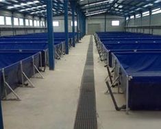 rows of blue tarps lined up in an indoor area with metal grates on the floor