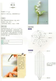 an instruction manual for cutting flowers with scissors