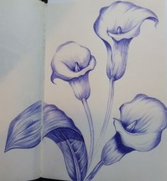 a drawing of three flowers in blue ink