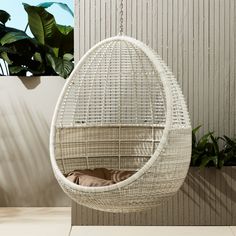 a hanging egg chair next to a potted plant