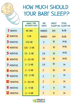 how much should your baby sleep be? info from parents and babies - click to see more info below