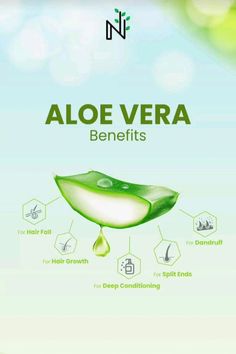 Aloe Vera Plant For Hair, Herbs Remedies, Aloe Drink, Aloe Vera Mask, Aloe Vera Products, Natural Aloe Vera Gel, Benefits Of Aloe Vera, Aloe Vera Shampoo