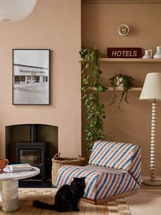 a living room with a cat sitting on the floor in front of a fire place