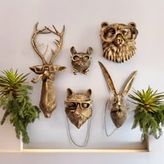 five deer head masks mounted on a wall with plants in the foreground and other animal heads above them