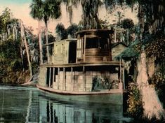 a boat floating on top of a river surrounded by trees and palm tree's