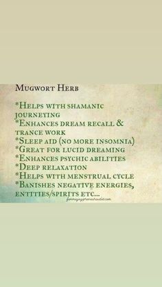 Mugwort Herb, Psychic Powers, Astral Projection, Healing Arts, Naturopathy, Liver Health, Herbal Blends, Deep Relaxation