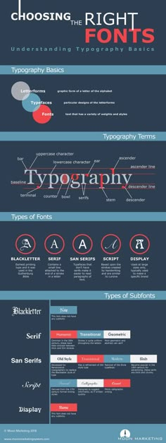 Creative Fonts for Branding Typography Infographic Design, Typographic Infographic, Typography Theory, Typography Basics, Basic Typography, Typography Infographic, Infographic Typography, What Is Typography, Typography Terms