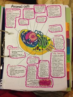 an animal cell diagram in a binder