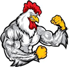 an angry rooster flexing his muscles in the form of a bodybuilding pose with both hands