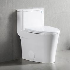 a white toilet sitting next to a wall