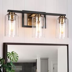 a bathroom vanity with three lights and a mirror on the wall next to a potted plant