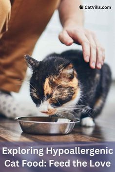 a cat eating out of a bowl on the floor with text overlay reading exploring hypoalergenic cat food feed the love