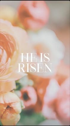 an image of flowers with the words he is risen