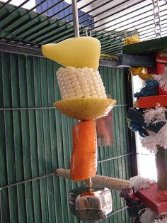 corn on the cob hanging from a metal rack