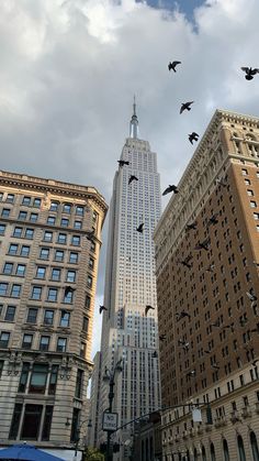 birds flying in the air near tall buildings