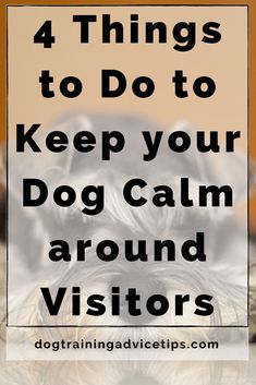 a dog laying down with the words 4 things to do to keep your dog calm around visitors