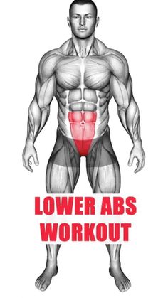 the lower body is highlighted in red and white text that reads lower abss workout