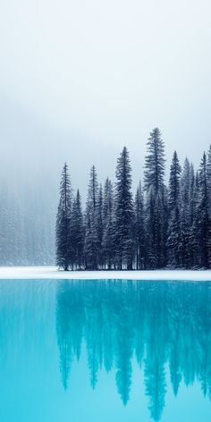 a lake surrounded by snow covered trees in front of a foggy sky and forest