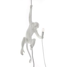 a monkey is hanging on the side of a pole with an electric plug attached to it