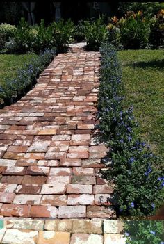 an old brick path is surrounded by blue flowers