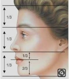 an image of a woman's profile with the measurements for her nose and head