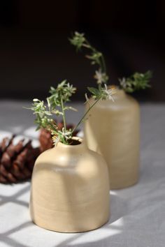 two vases with flowers in them sitting on a table next to some pine cones