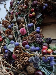 an arrangement of pine cones, berries and other plants are arranged in the shape of a wreath