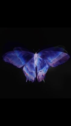 a blue butterfly with purple wings flying through the air