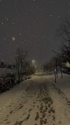 a snowy night with footprints in the snow