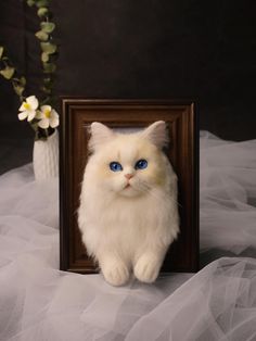 a white cat with blue eyes sitting in front of a frame