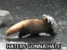 a brown and white animal walking across a dirt field next to rocks with caption that reads haters gonna hate