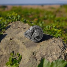 a metal object sitting on top of a rock in the middle of some green plants