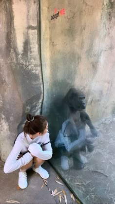 a woman sitting on the ground next to a gorilla in a glass enclosure at a zoo