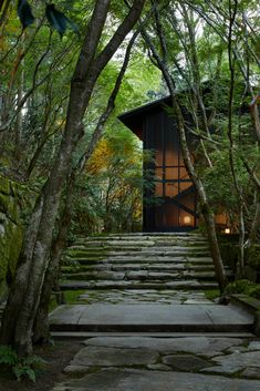 an outdoor area with steps and trees in the foreground, surrounded by green foliage