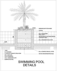 a diagram showing the swimming pool details and its surrounding features, including a palm tree